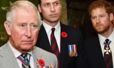 九游娱乐官方网站-关于英国皇室再陷困境，需要振奋士气的信息