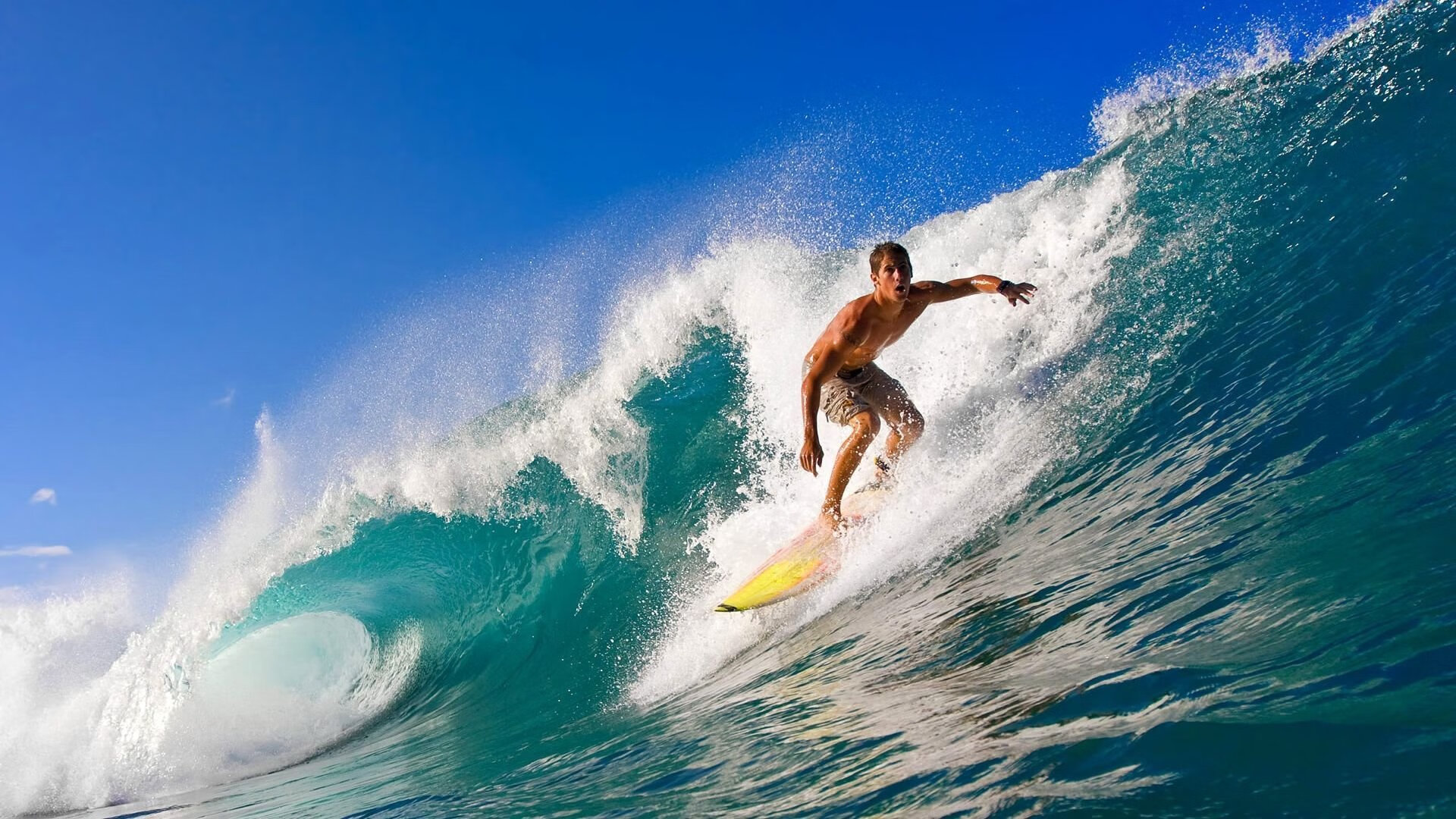 拉沃尔杯横扫澳网，蒂姆点燃赛场，重塑网坛版图